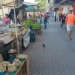 ZuNUHNCg-Feira-Livre-da-Marechal-Deodoro-feirantes-ft-paulo-jose-acorda-cidade-jpg