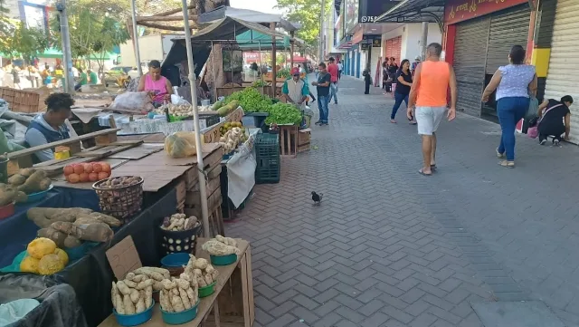 ZuNUHNCg-Feira-Livre-da-Marechal-Deodoro-feirantes-ft-paulo-jose-acorda-cidade-jpg