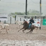 cJXhTNCN-6a-Etapa-do-Campeonato-Baiano-de-Team-Penning-sera-realizada-durante-a-Expofeira-jpg