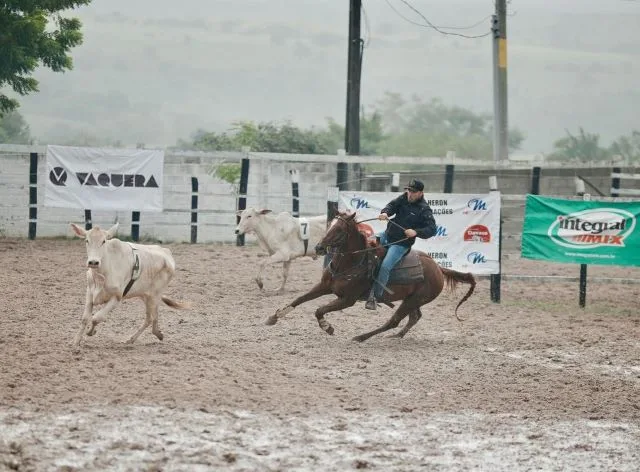 cJXhTNCN-6a-Etapa-do-Campeonato-Baiano-de-Team-Penning-sera-realizada-durante-a-Expofeira-jpg