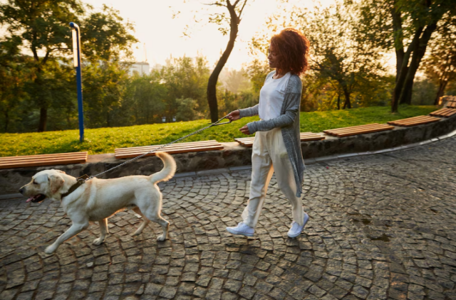mulher-passeando-com-cachorro_drobotdean_freepik