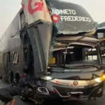 73SQtYt0-onibis-joao-neto-e-frederico-foto-reproducao-instagram-jpg