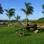 AXoRcACw-America-Dourada-Foto-Chico-Ferreira-jpg