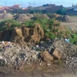 Bcip7EpJ-Jardim-Acacia-ft-paulo-jose-acorda-cidade-jpg