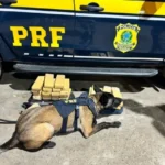 DchlBqw7-PRF-apreende-12kg-de-maconha-em-Feira-de-Santana1-jpg