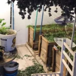 Ncrsm8Uj-estufas-de-maconha-jpg