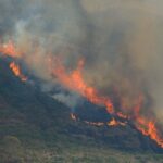 Queimadas-incencio-vegetacao-Foto-Fernando-Frazao-Agencia-Brasil