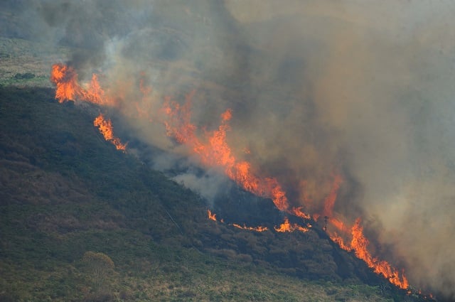 Queimadas-incencio-vegetacao-Foto-Fernando-Frazao-Agencia-Brasil