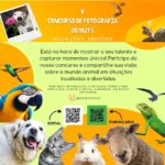 UddbYN3r-concurso_fotografia_uefs