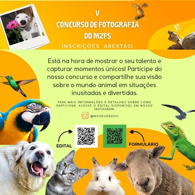 UddbYN3r-concurso_fotografia_uefs