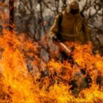 b5CWg5kg-incendios