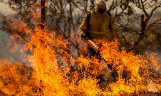 b5CWg5kg-incendios