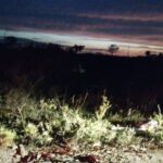 cRnyLGpd-matagal-pedraferrada