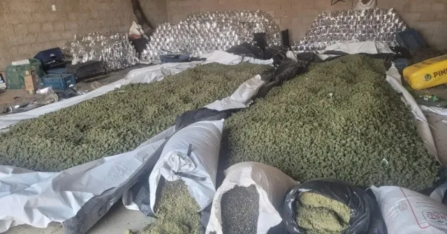 hVVd0eX5-apreensao-de-maconha-jpg