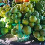 lLOOEfMG-reajuste-precos-de-fruas-e-verduras-feirinha-da-estacao-nova-3