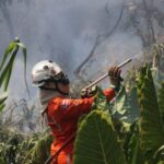 mvPBb6nD-Bombeiros-reforcam-combate-e-debelam-422-incendios-florestais-na-Bahia