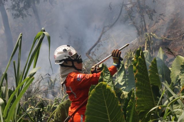 mvPBb6nD-Bombeiros-reforcam-combate-e-debelam-422-incendios-florestais-na-Bahia