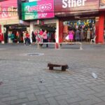 nAmdmlgS-WhatsApp-Image-2024-09-23-at-18.09.32