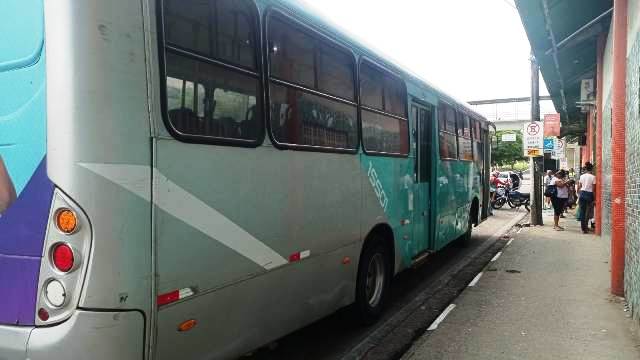 onibus-empresa-rosa-transporte-publico-foto-ed-santos-acorda-cidade-2023