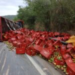 2ONIsjqd-Acidente-carreta-de-mangas