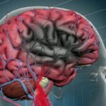 38LrUCTT-avc_reproducao_globonews