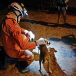 Au4bgQE3-corpodebombeiros_divulgacao-2