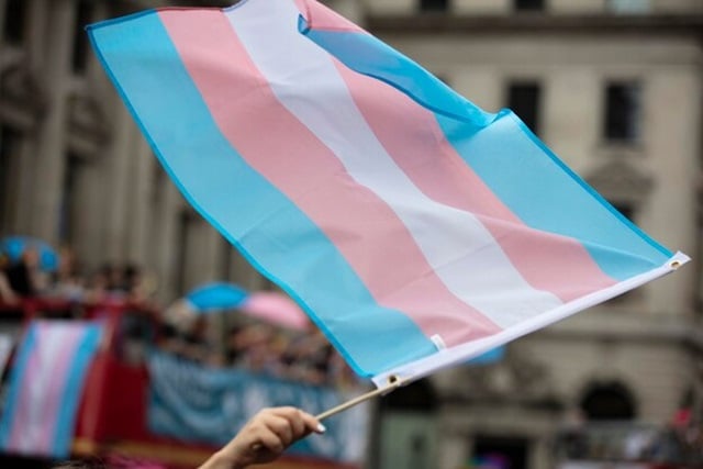 Bandeira-transgeneridade-ft-freepik-inkdrop