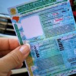 CNH-Foto-Lidiana-Cuiabano-Detran