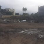 IXK0Dy3E-rua-palmeira-dos-indios-3