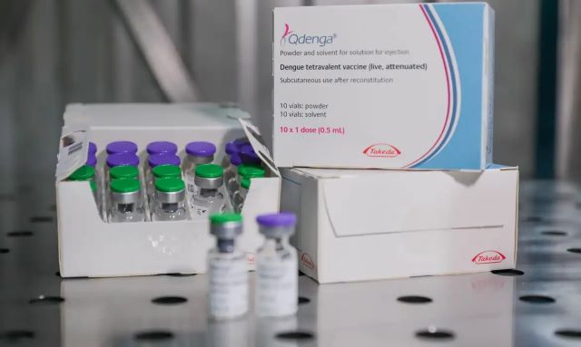 RaV1RENJ-vacina-dengue