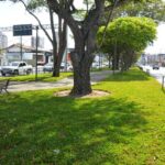 Wm2uONPE-Canteiro-Central-da-Avenida-Geatulio-Vargas-fotos-Jorge-Magalhaes-9