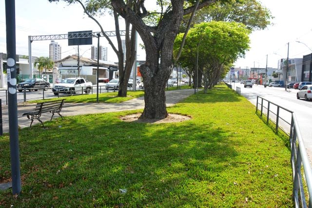 Wm2uONPE-Canteiro-Central-da-Avenida-Geatulio-Vargas-fotos-Jorge-Magalhaes-9