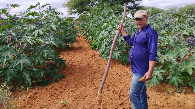 emeqyj9d-agricultura-familiar
