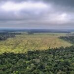 gf1F802T-Amazonia