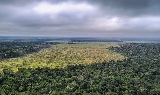 gf1F802T-Amazonia