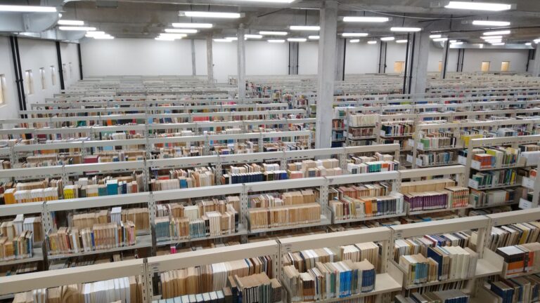 livros-uefs-foto-jefferson-araujo-acorda-cidade