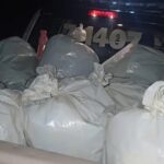 of3r4Fko-0636-achei-sudoeste-80kg-de-maconha-apreendidos-em-brumado