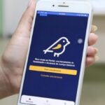 z9d2i3E7-aplicativo-pardal-denunciar-boca-de-urna-compra-de-voto