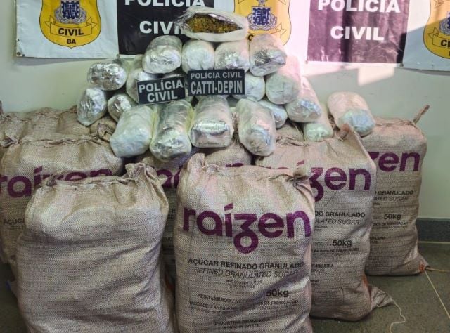 100-kg-de-maconha-sao-apreendidos-pela-Policia-Civil-em-Irece