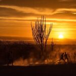KjIsnlQc-Concurso-de-Fotografia-