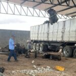 Motores-automotivos-sao-apreendidos-em-Feira-de-Santana1