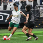 c4fXdrpn-paulistao_feminino_wenerflister