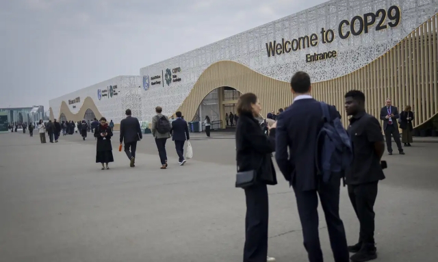 cop-29