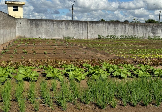 materiais-e-alimentos-produzidos-por-internos-de-presidios-da-Bahia-Fenagro2