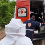 njZRTtOx-resgate-idoso-atacado-por-abelhas-foto-reproducao-Divulgacao-Corpo-de-Bombeiros