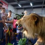 wVpxSfsP-Fenagro-Museu-da-Anatomia-Animal