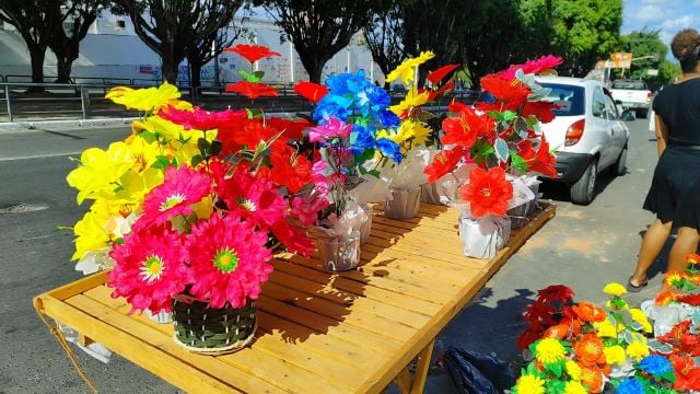 zQE9mQF6-flores-feriado-de-finados-venda-de-flores-foto-ed-santos-acorda-cidade