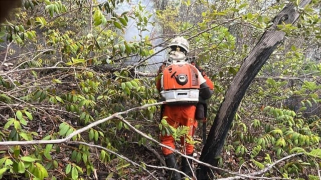 Corpo-de-Bombeiros-incendios-florestais