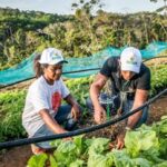 Edital-que-garante-agua-para-producao-e-cuidado-animal-agricultura