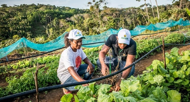 Edital-que-garante-agua-para-producao-e-cuidado-animal-agricultura